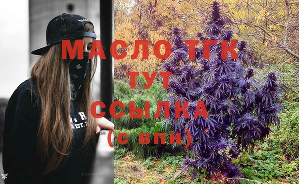 СК Протвино