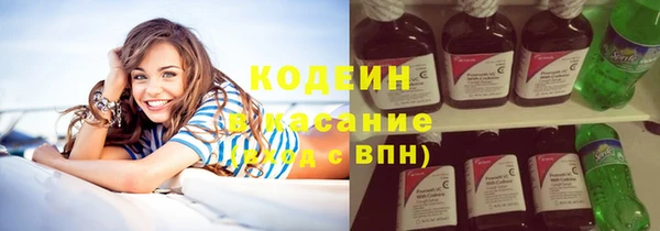 ПСИЛОЦИБИНОВЫЕ ГРИБЫ Ельня