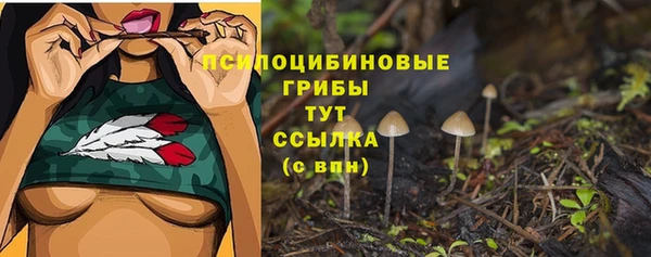 стаф Пролетарск